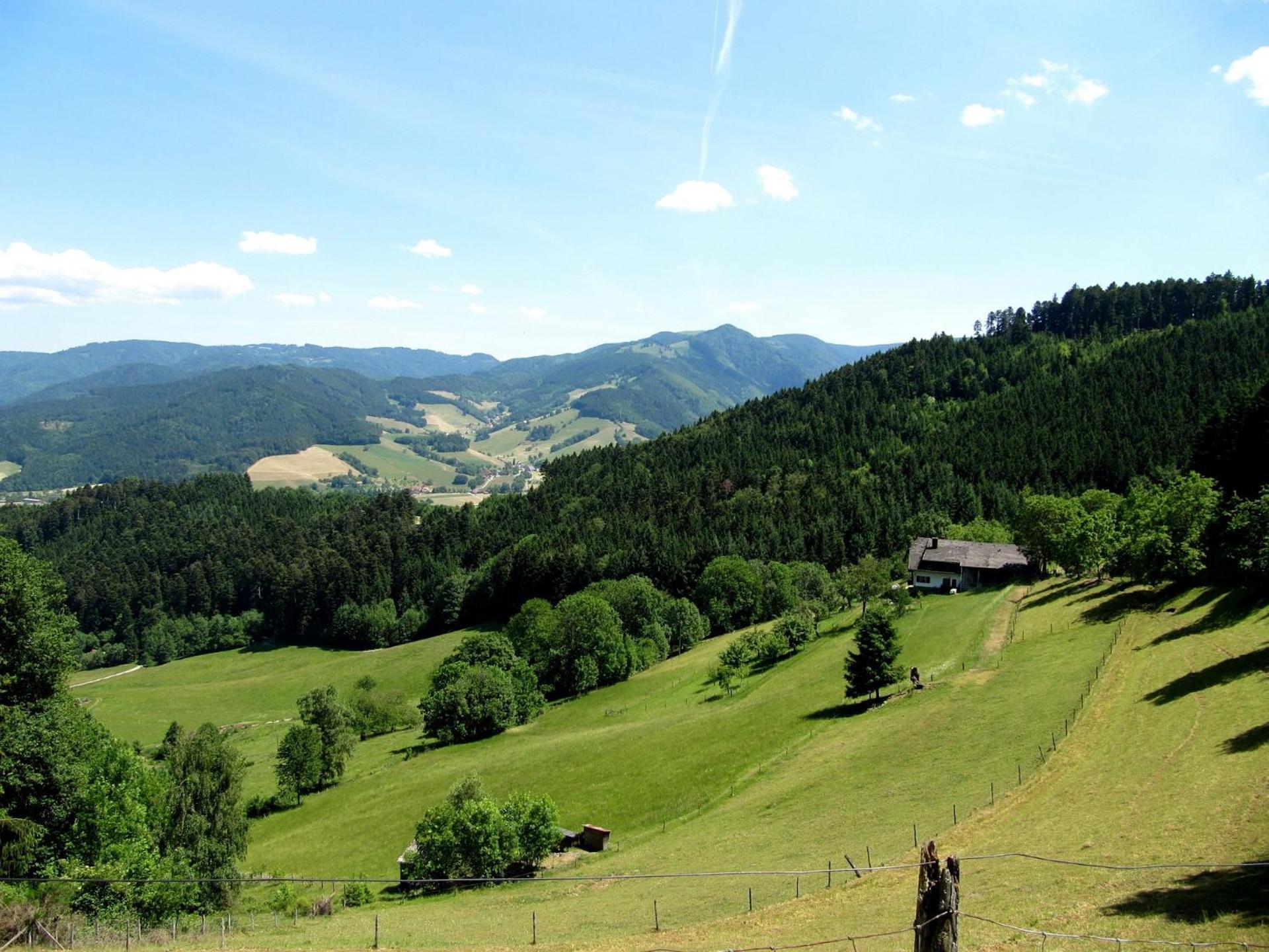Ferienwohnung Weyl Eschbach  エクステリア 写真