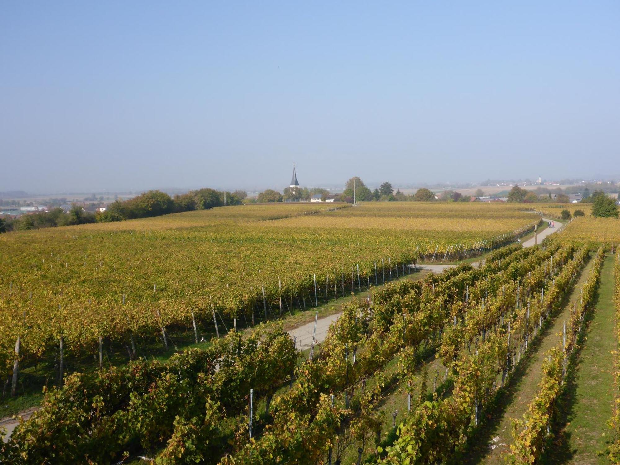 Ferienwohnung Weyl Eschbach  エクステリア 写真